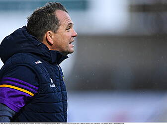 Davy Fitzgerald to remain Wexf...